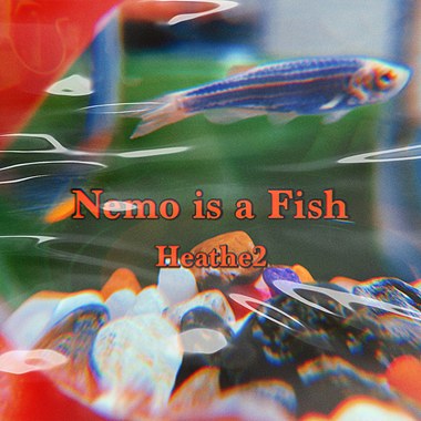 nemoisafish羽阿鱼