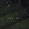 藓人为知 MOSS LIFE
