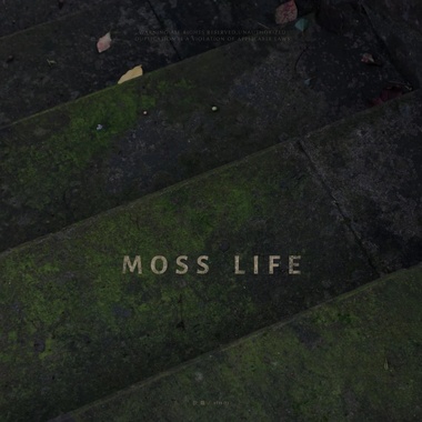 藓人为知 MOSS LIFE