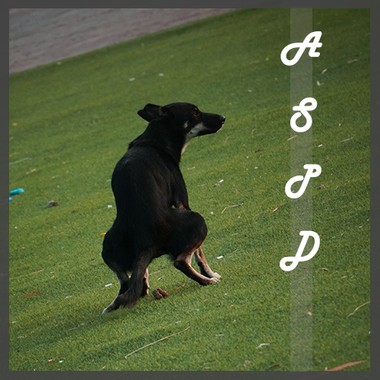 A˙S˙P˙D