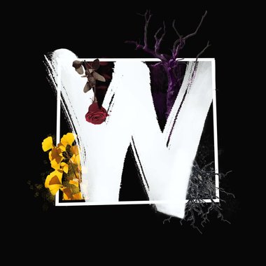 W
