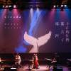 10 熄灯之后的城市 Meteoric Night