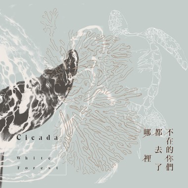 不在的你们都去了哪里 White Forest