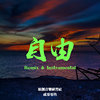 【自由 混音&伴奏集】独门舞曲(Reggaeton remix)
