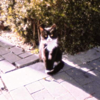 我要走了，冬天的寒冷使我手脚冰冷