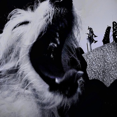 High-school rock and roll