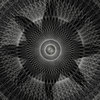 现场 Live Set Long