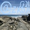 @zx831