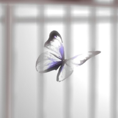 《 芒果街老爸 - Caged Butterfly 》( Mango Street Papa - Caged Butterfly )