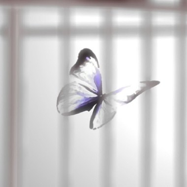 《 芒果街老爸 - Caged Butterfly 》( Mango Street Papa - Caged Butterfly )