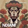 Ndiani