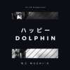 快乐海豚 ハッピー Dolphin