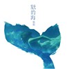 发光的海