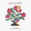 CASSA NOVA 半熟王子