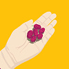 Demo合辑 x Raspberries