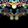Under Rainbow of Rabbit / 彩虹下的小兔子