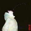 风 - Single
