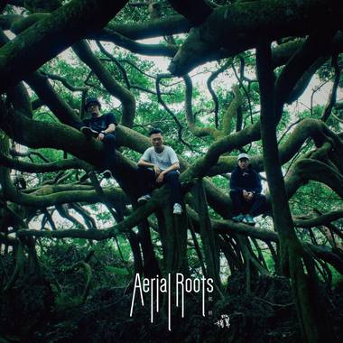 气根 Aerial Roots