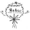 Soft_试听