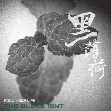 摇滚你的生活