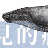 蓝色信仰《听不见的赫兹》Live现场版