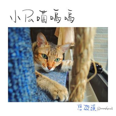 小Pa喵呜呜