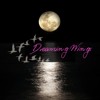 梦之翼 Dreaming Wings