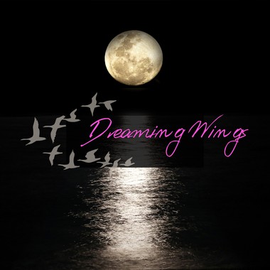 梦之翼 Dreaming Wings