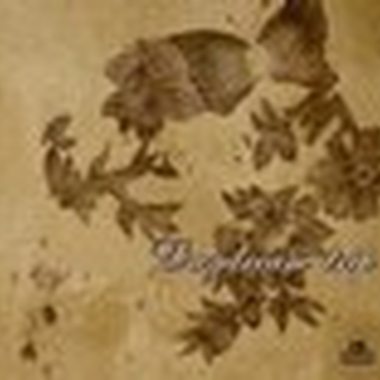 《Daydream trip》白日游梦