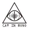 单声道的猫