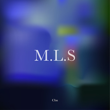 M.L.S