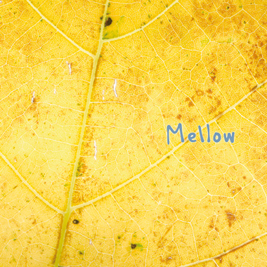 Mellow