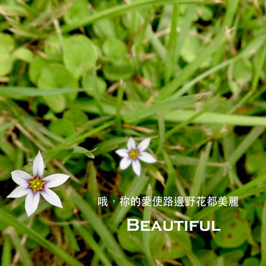 【尚未发行】