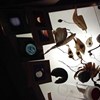 Traveling through wormholes 穿越虫洞之旅