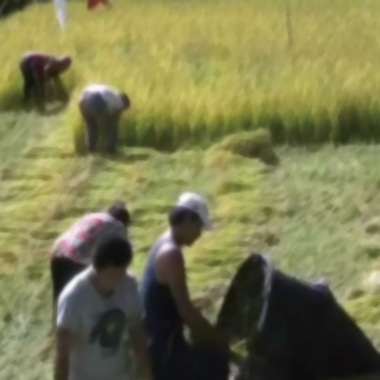 《玛那》记录片配乐