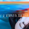 孤独金鱼图鉴 Goldfish in the Tank
