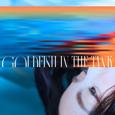 孤独金鱼图鉴 Goldfish in the Tank