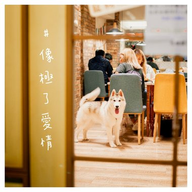 #像极了爱情