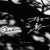 树影 Shadow