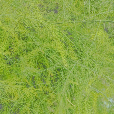 边缘