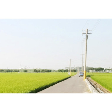 日常风景