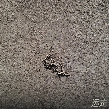在夏日的风里