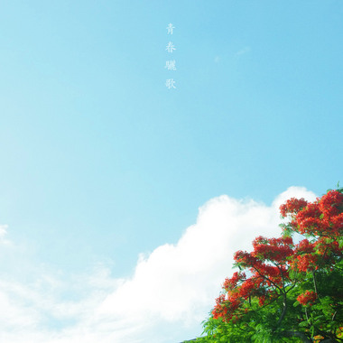 青春骊歌