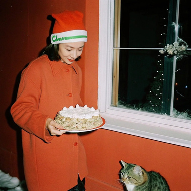 Christmas Cat