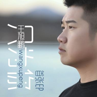 王旭鹏专辑