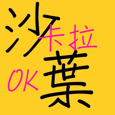沙叶卡拉OK