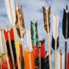 Royale Archery