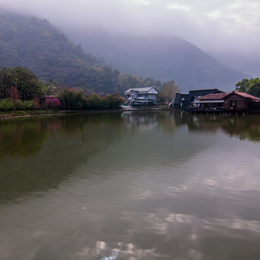 缤纷森林20140525