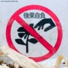01-因果 karma fruit