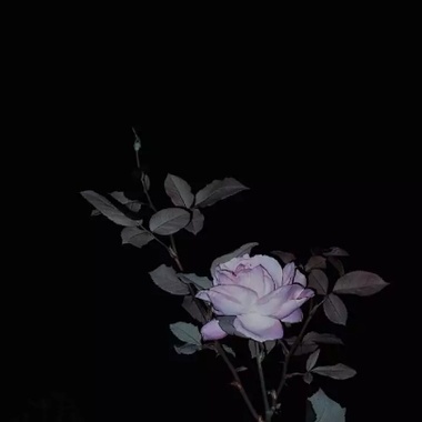 痂（Cover 康熙）